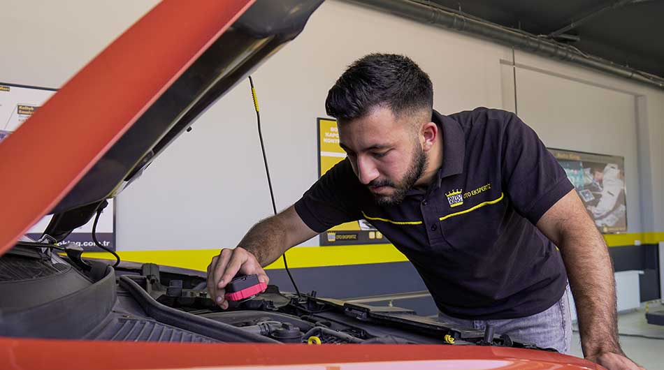 Ekspertiz Motor Yüzdesi