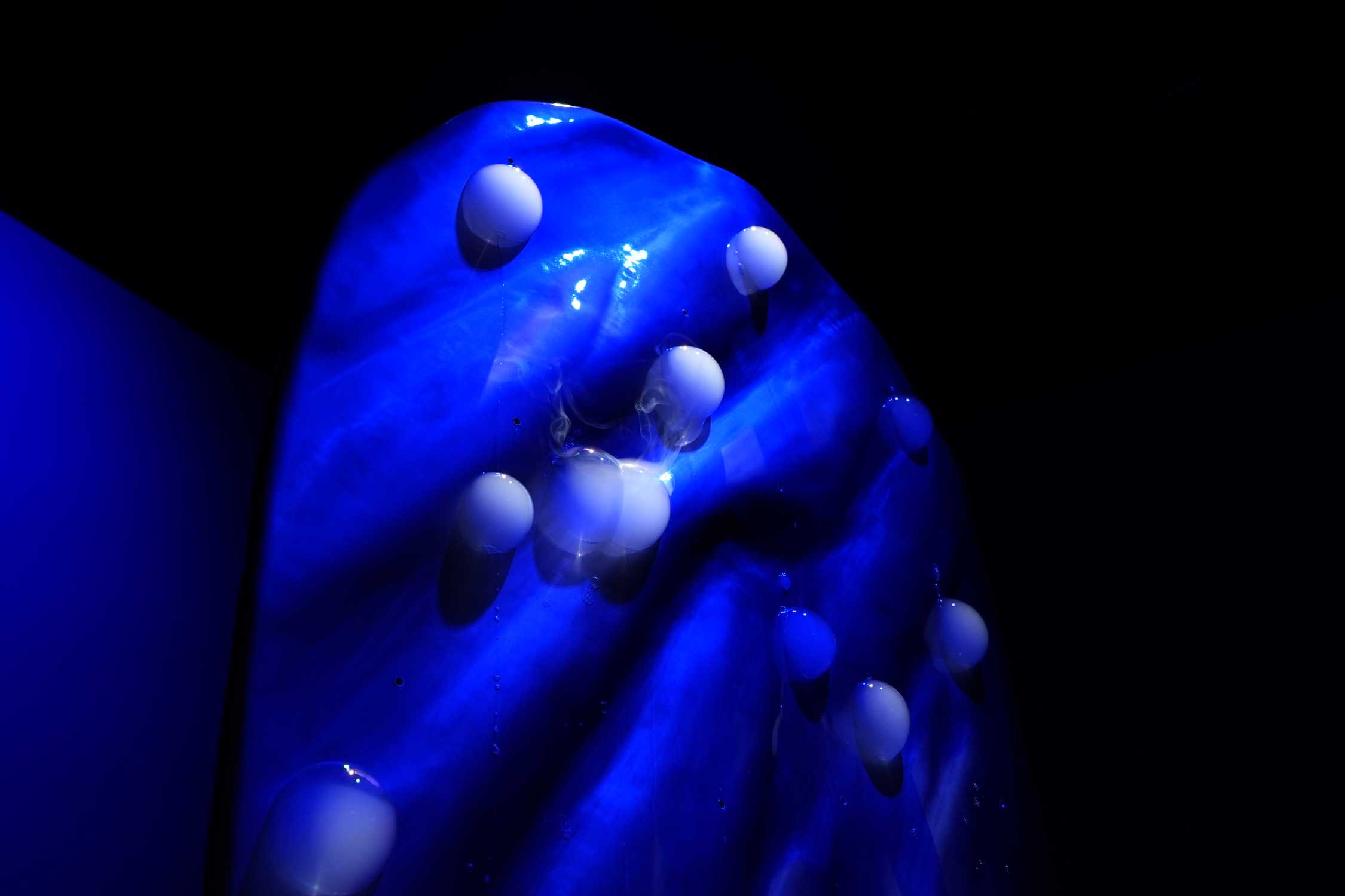Contemporary Istanbul 21. edisyonunda SYMBIOSIS enstalasyonunun mavi ışıklı iç görünümü